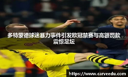 多特蒙德球迷暴力事件引发欧冠禁赛与高额罚款震惊足坛
